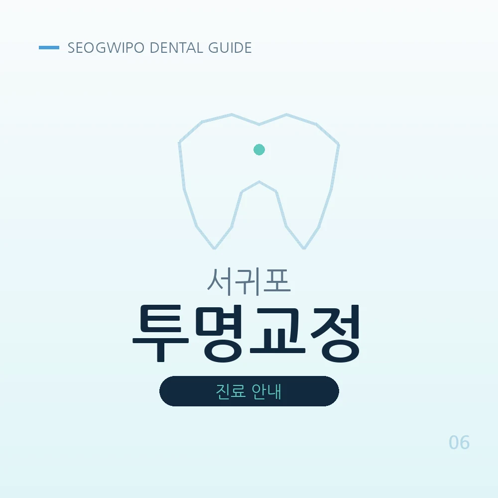 서귀포투명교정
